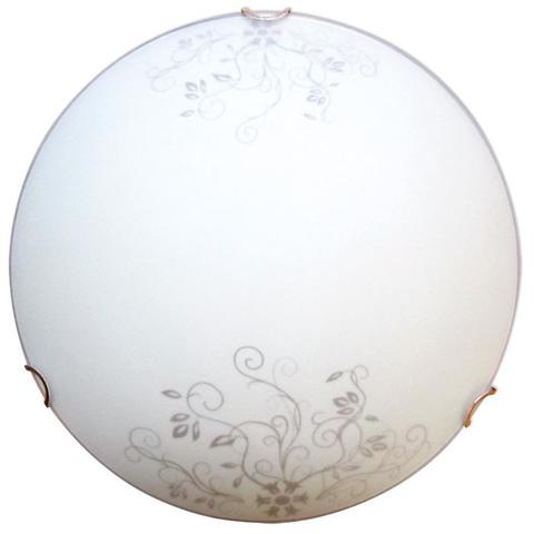 Изображение Акация 250 1*60W Свет-к матовый белый /зол./ ИУ