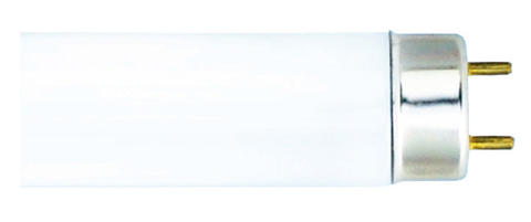 Изображение T8 T8 36W G13 {OSRAM}